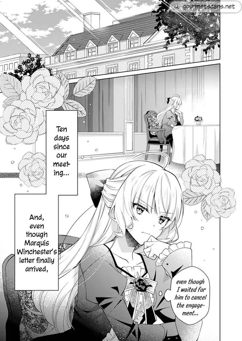 Itoshi no Ano Kata to Shiniwakarete Sennen: Kyou mo Watashi wa Akuyaku Reijou o Enjimasu Chapter 3 - Page 5
