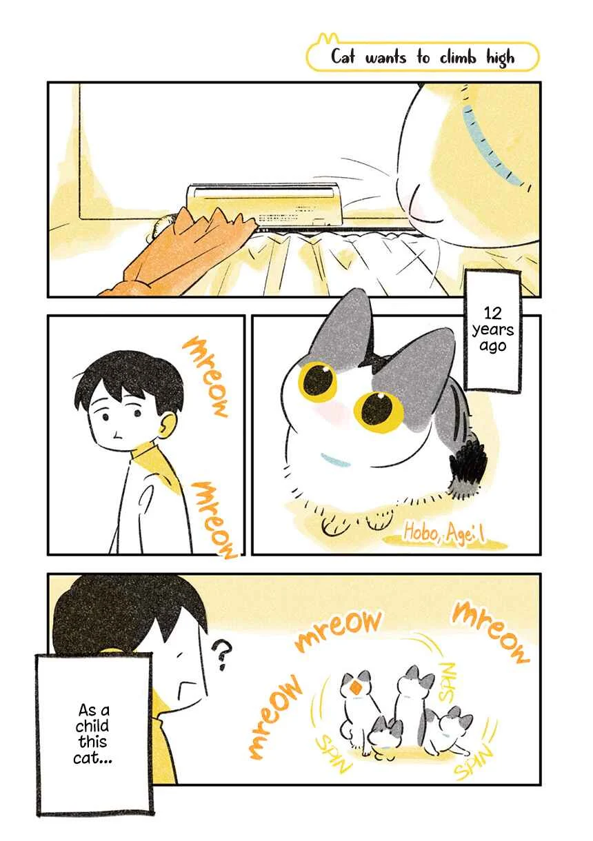 Jiji Neko-kurashi Chapter 1.1: Cat wants to climb high - Page 2