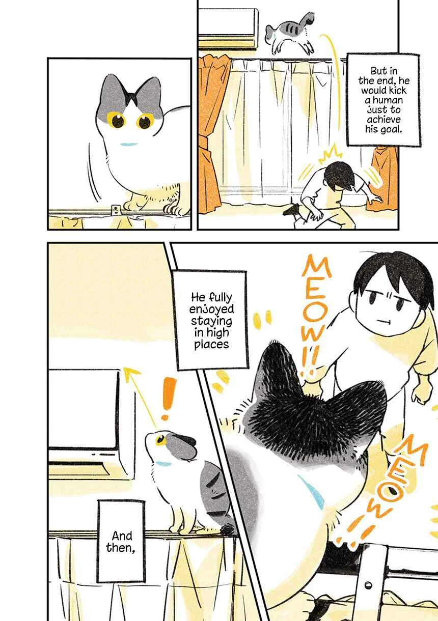 Jiji Neko-kurashi Chapter 1.1: Cat wants to climb high - Page 4