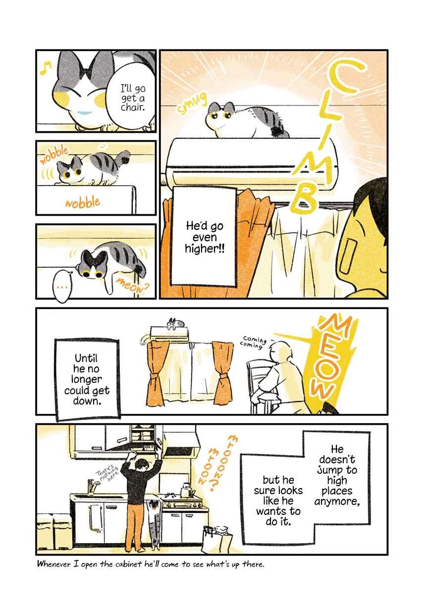 Jiji Neko-kurashi Chapter 1.1: Cat wants to climb high - Page 5
