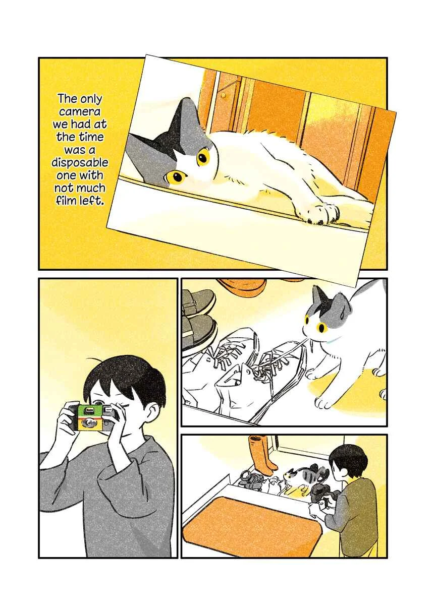 Jiji Neko-kurashi Chapter 2: Cat's first encounter - Page 4