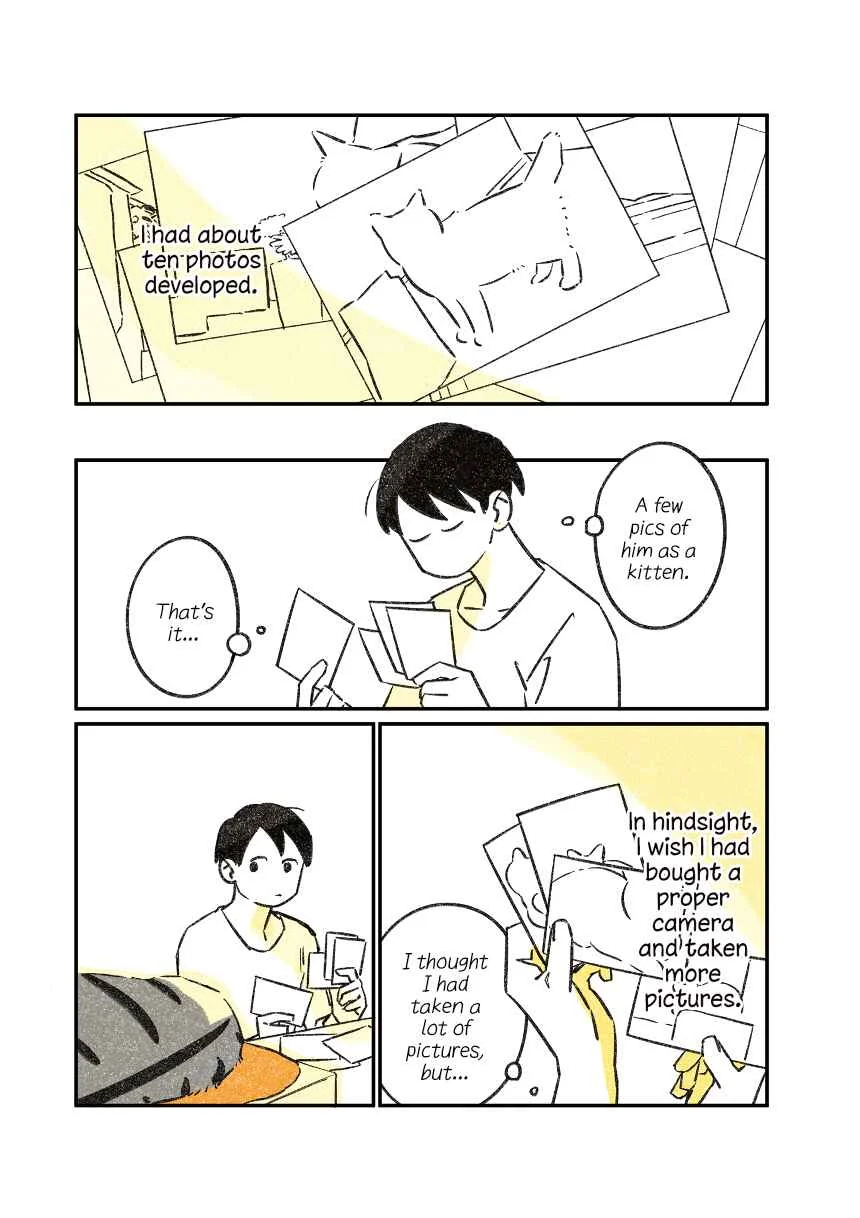 Jiji Neko-kurashi Chapter 2: Cat's first encounter - Page 6