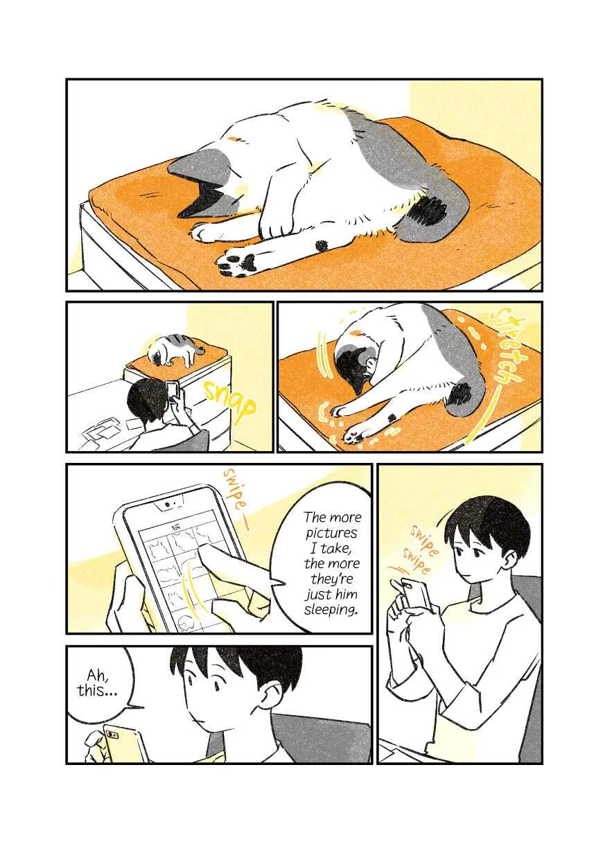 Jiji Neko-kurashi Chapter 2: Cat's first encounter - Page 7