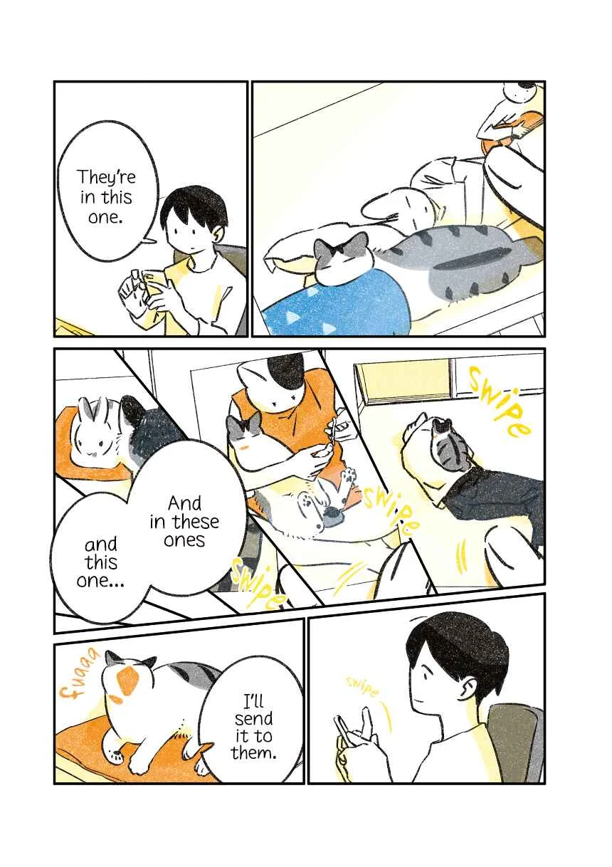 Jiji Neko-kurashi Chapter 2: Cat's first encounter - Page 8