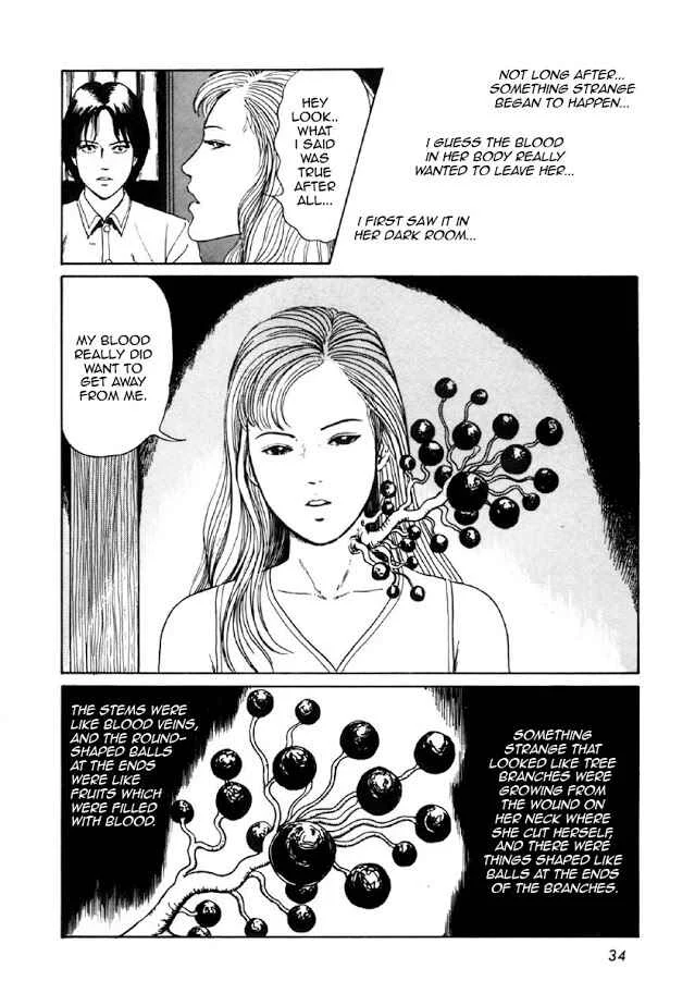 Junji Ito Horror Manga Collection Chapter 1: Blood-bubble Bushes - Page 32