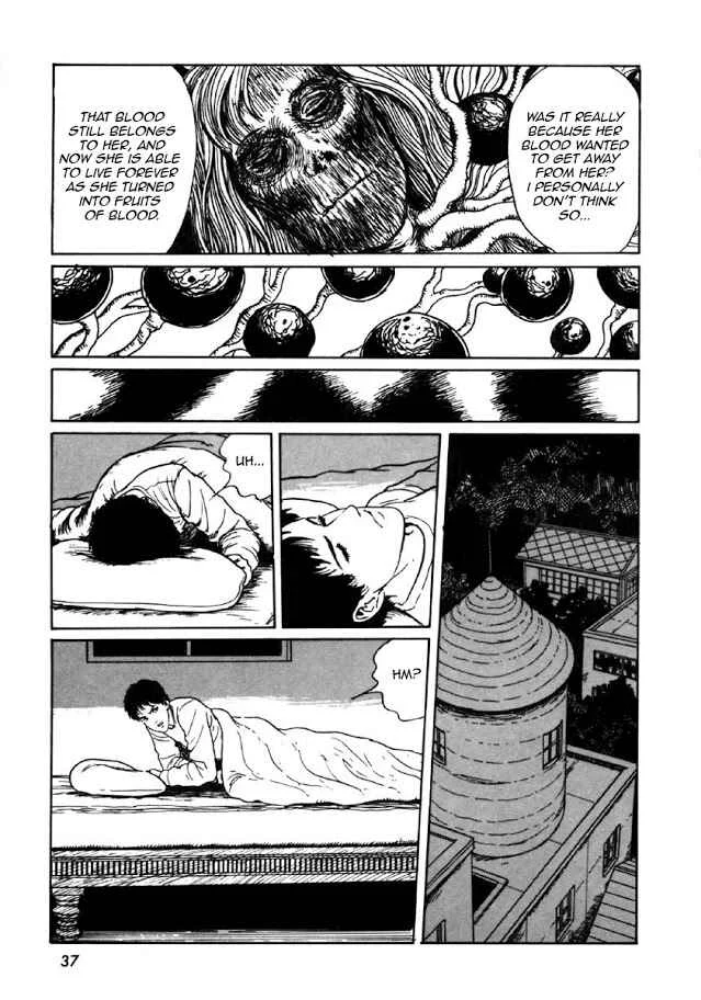 Junji Ito Horror Manga Collection Chapter 1: Blood-bubble Bushes - Page 35