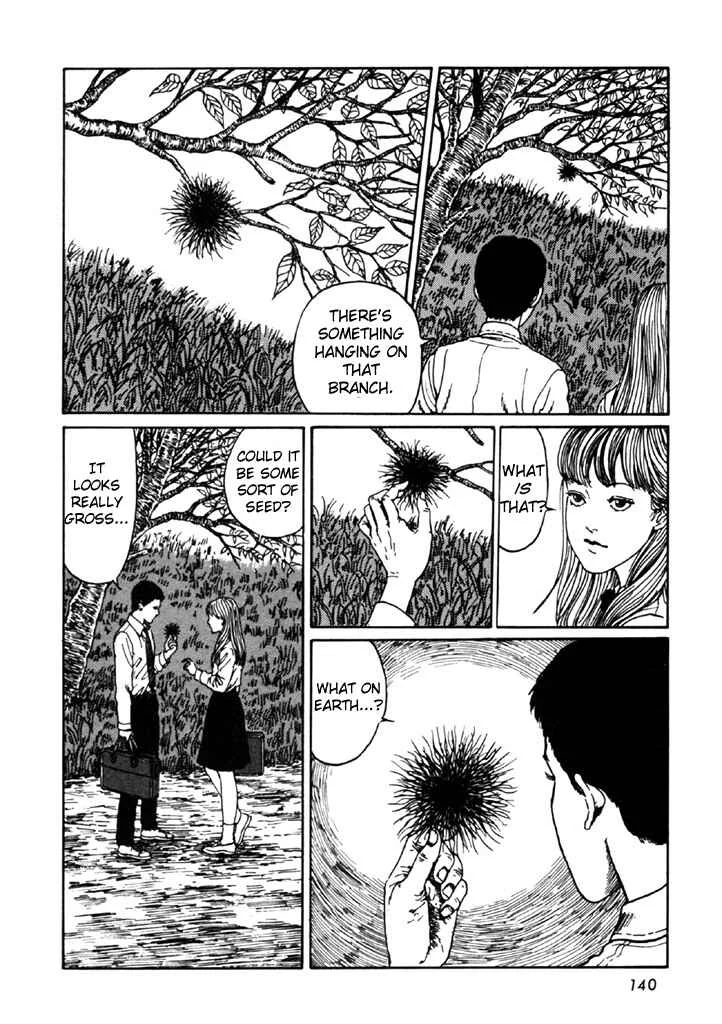 Junji Ito Horror Manga Collection Chapter 4: Drifting Spores - Page 6