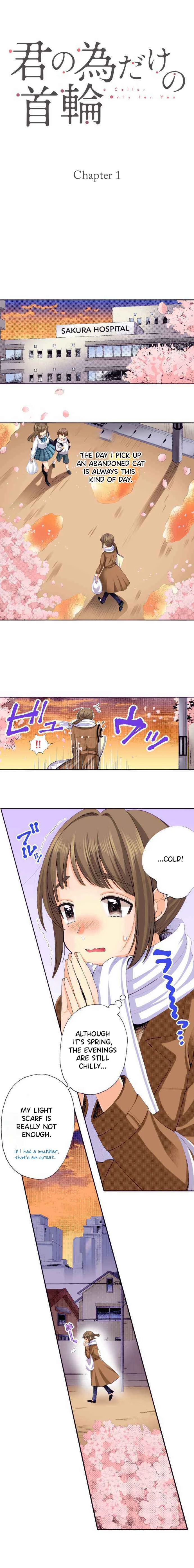 Kimi no Tame Dake no Kubiwa Chapter 1: An Abandoned Beauty - Page 2