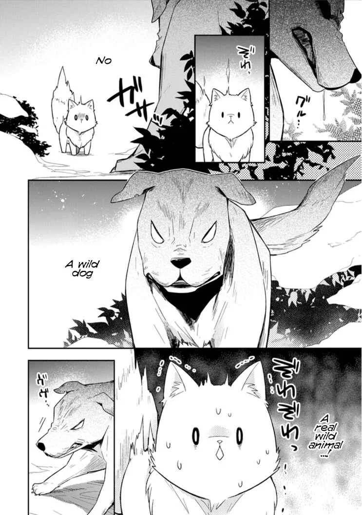 Kita no Toridenite Chapter 3 - Page 13