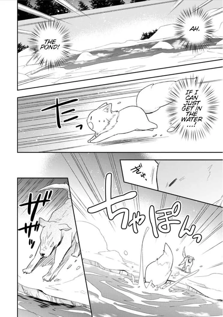 Kita no Toridenite Chapter 3 - Page 17