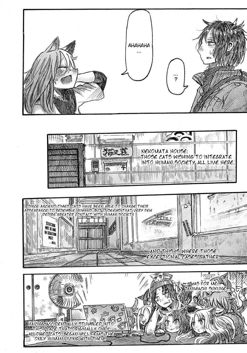 Latin Chapter 3: Nekomatasou no Shokutaku - Page 5