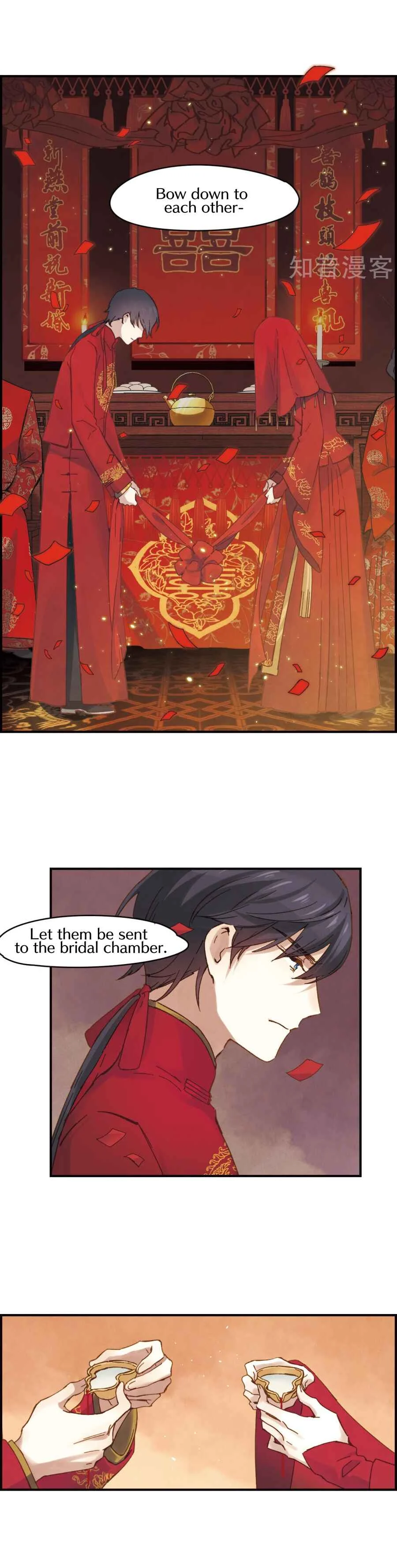 Mejaz - Regulus in the World Chapter 1.1: Big wedding - Page 9