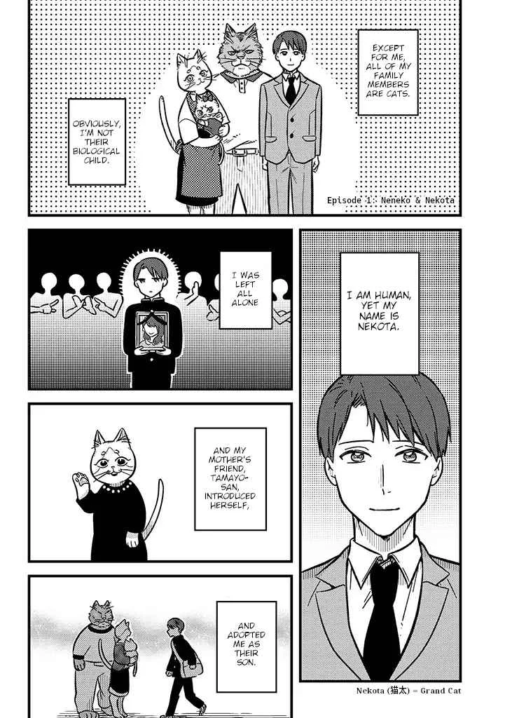 My Sister, The Cat Chapter 1: Neneko & Nekota - Page 2