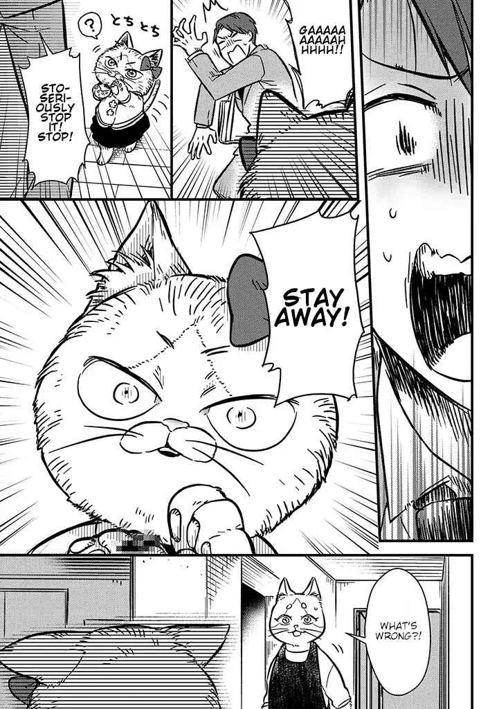 My Sister, The Cat Chapter 1: Neneko & Nekota - Page 9