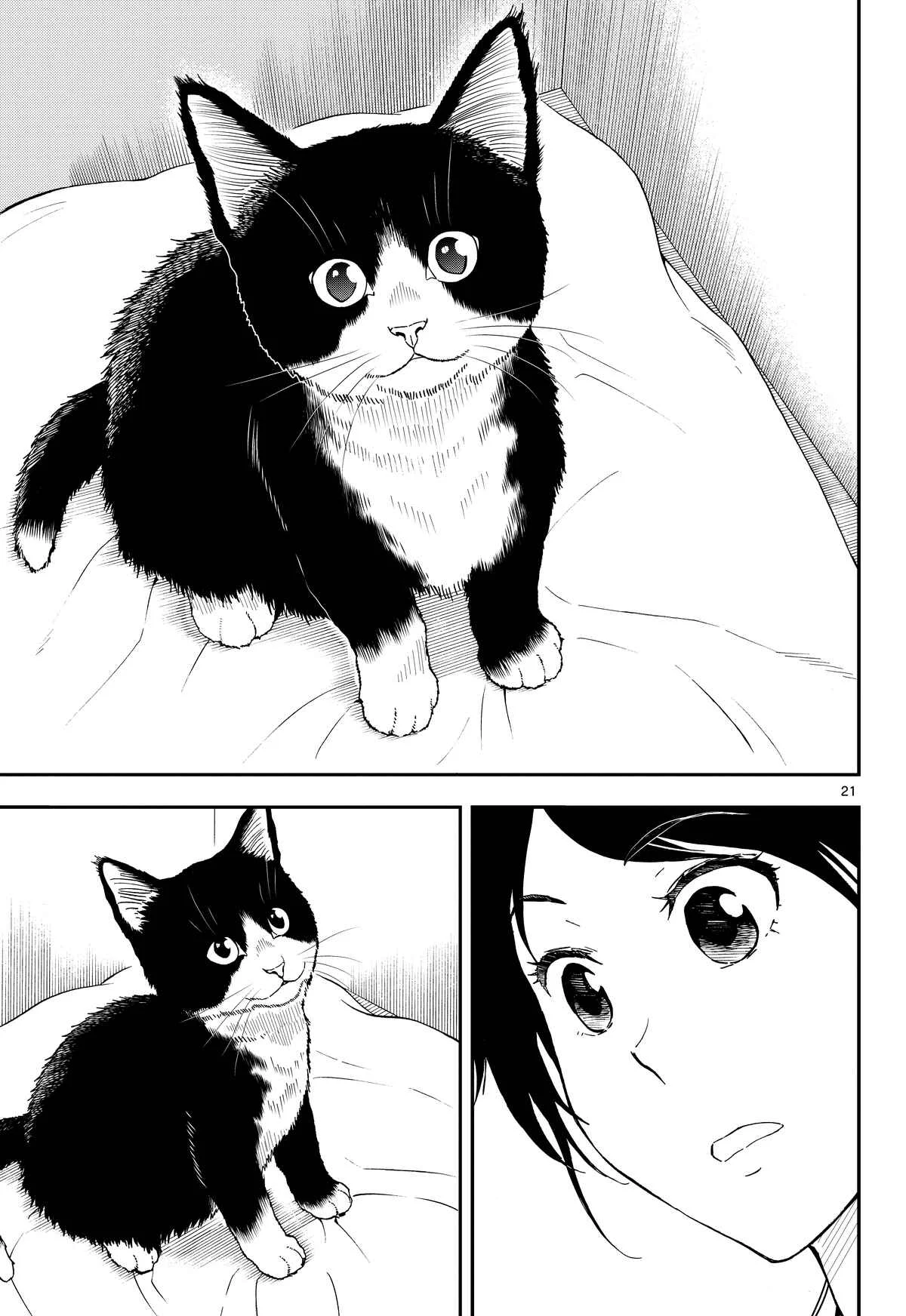 Neko Gurashi no Gamer-san Chapter 1 - Page 20