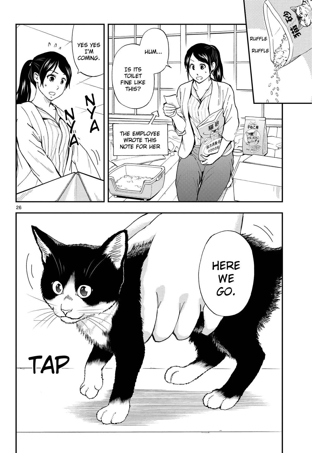 Neko Gurashi no Gamer-san Chapter 1 - Page 25