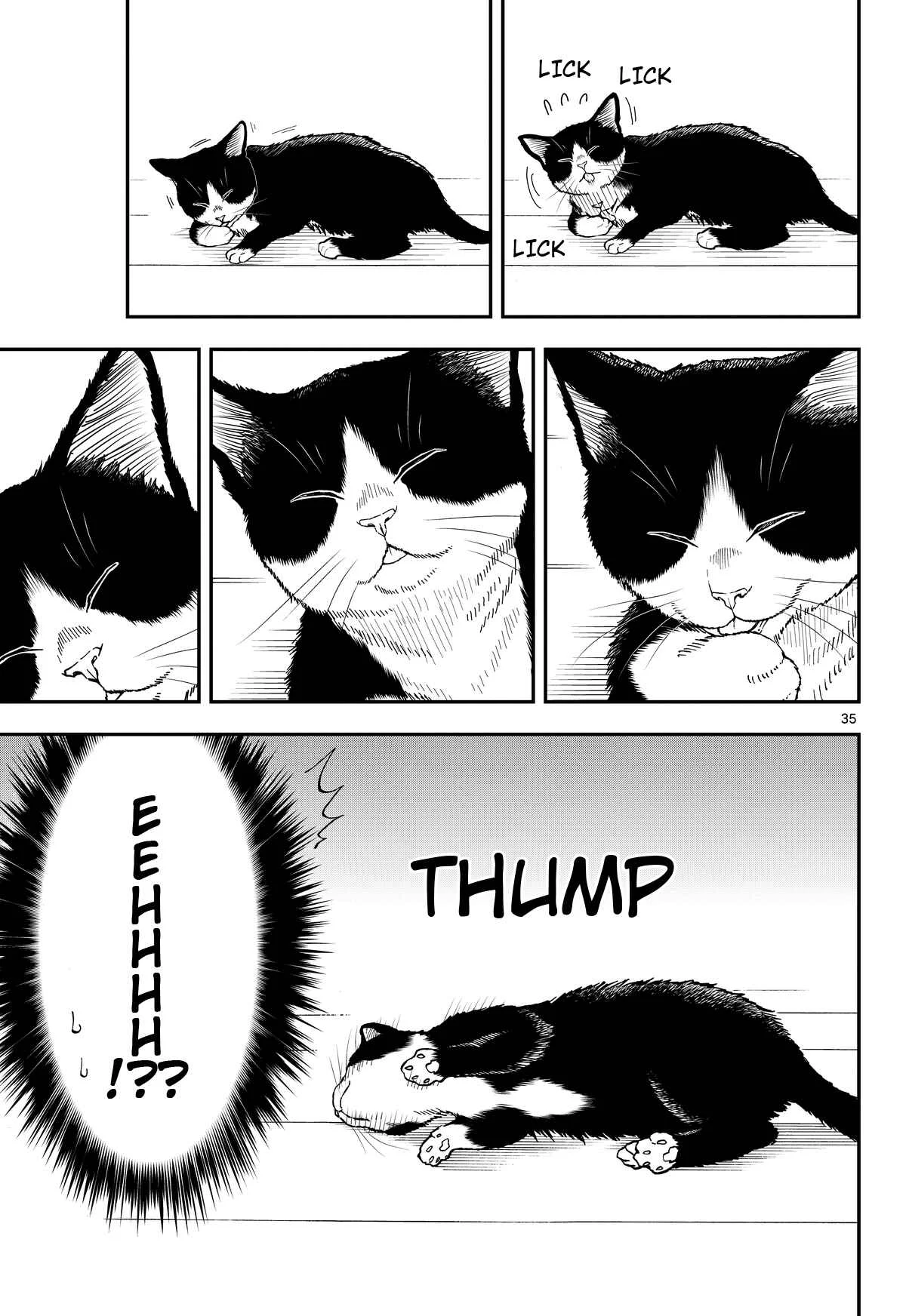 Neko Gurashi no Gamer-san Chapter 1 - Page 34