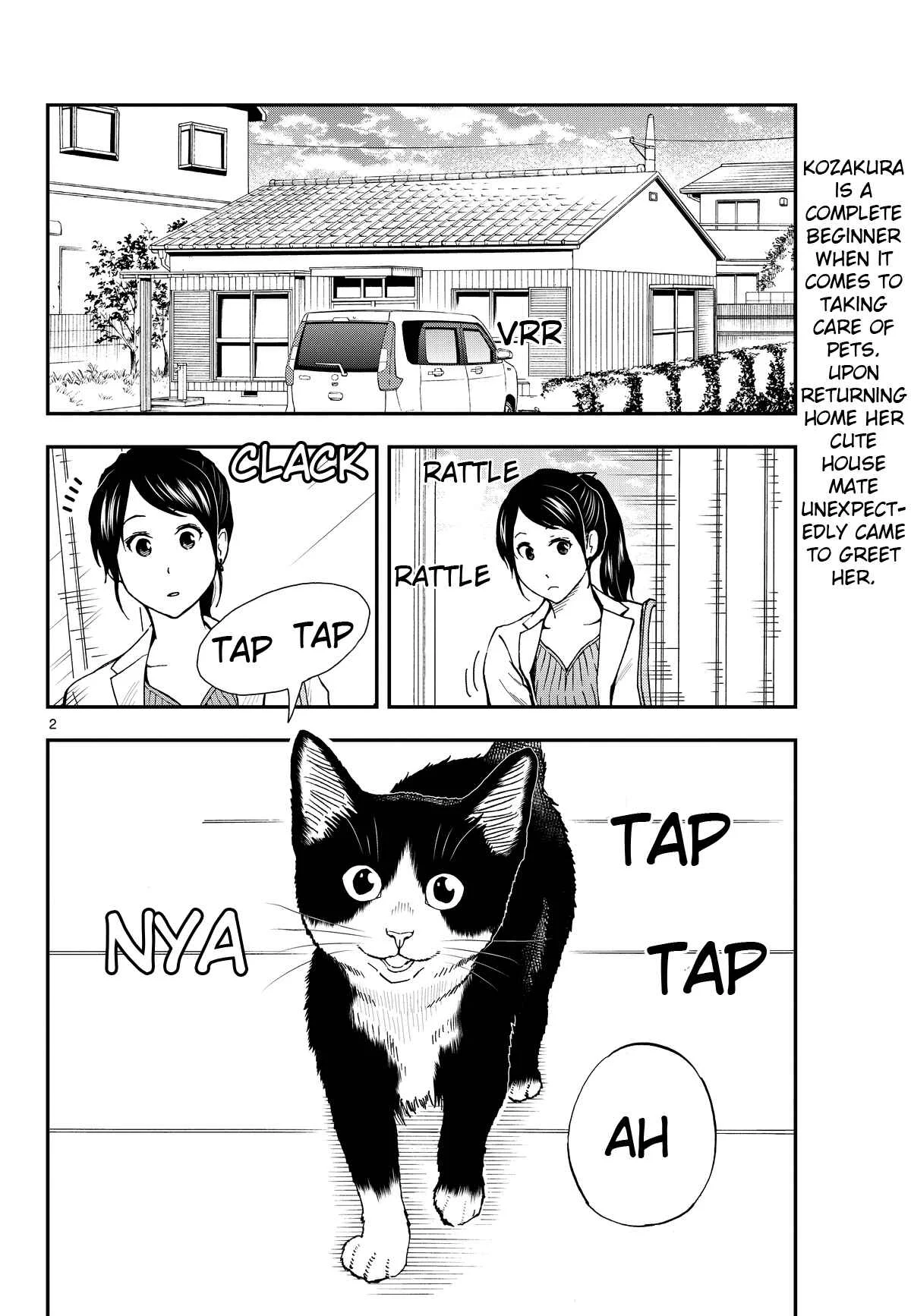 Neko Gurashi no Gamer-san Chapter 3: Male/female panic - Page 2