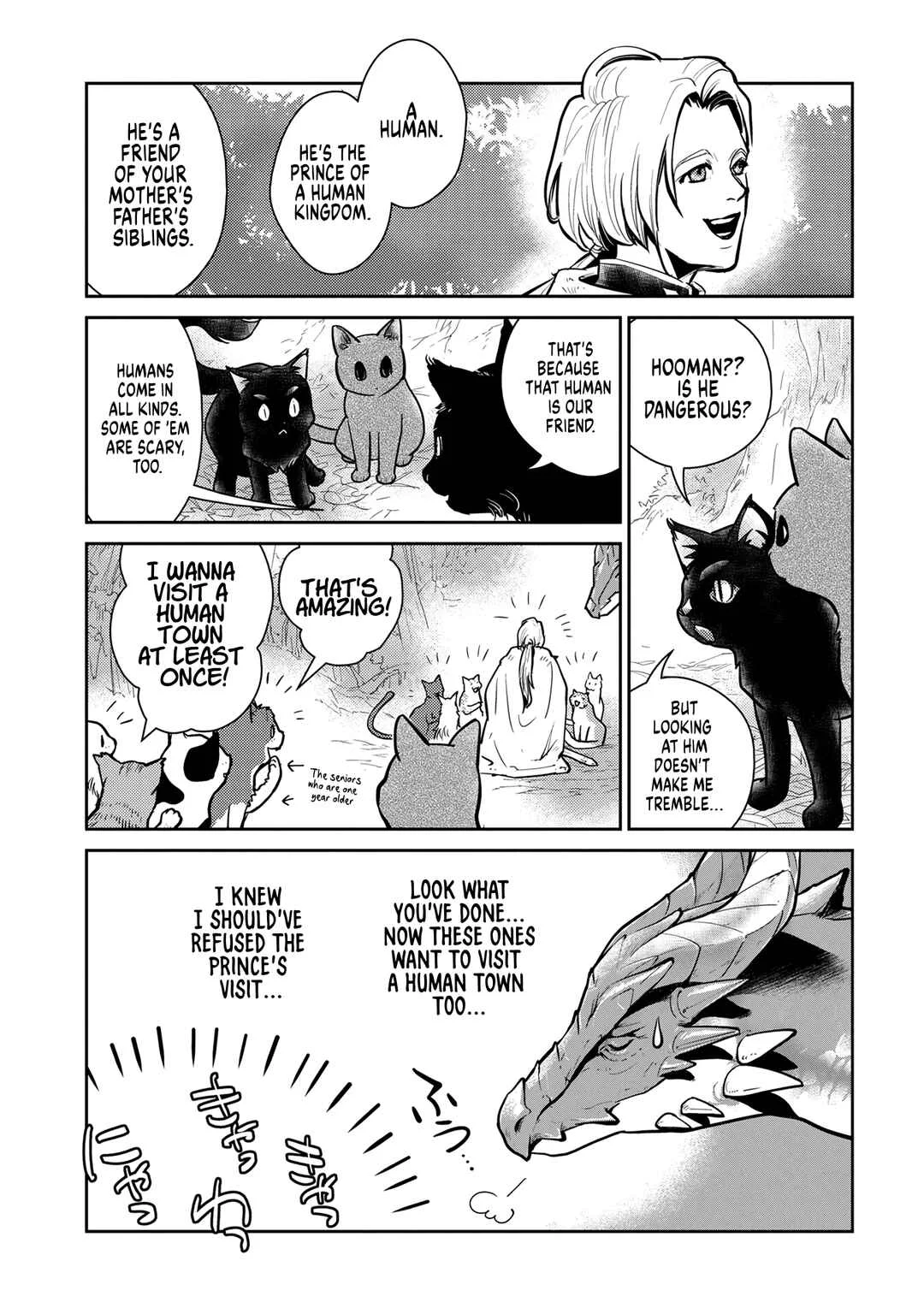 Neko to Ryuu Chapter 3: The Kittens and The Winged Uncle - Page 14