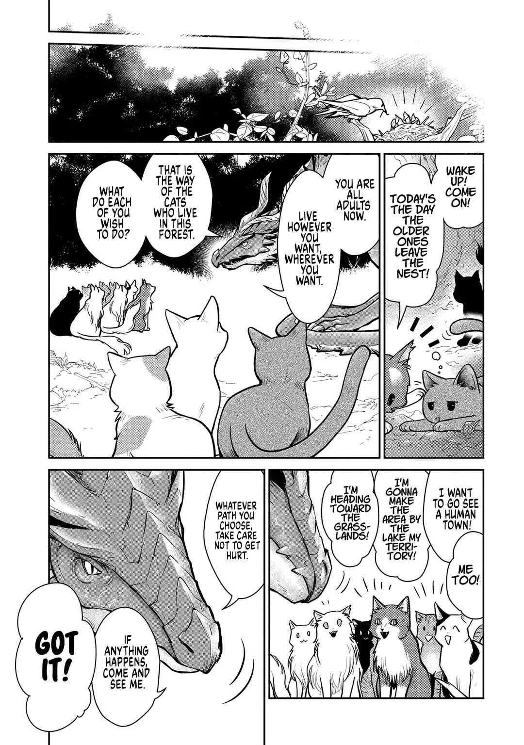 Neko to Ryuu Chapter 3: The Kittens and The Winged Uncle - Page 20
