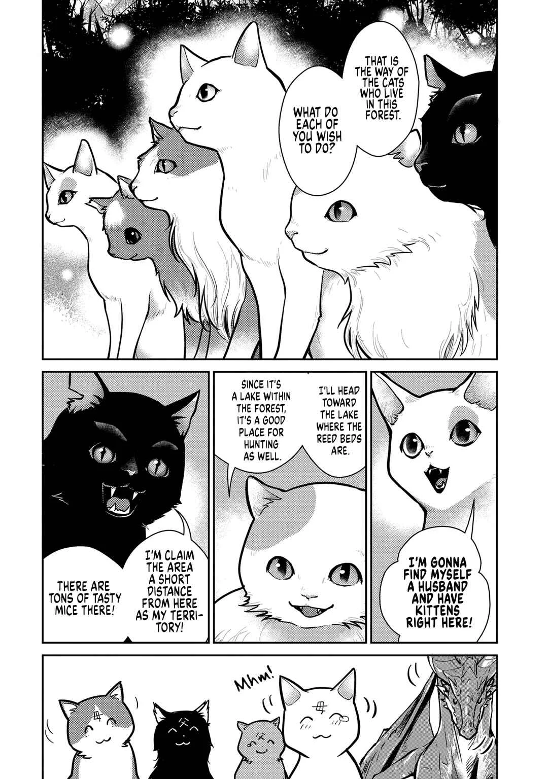 Neko to Ryuu Chapter 3: The Kittens and The Winged Uncle - Page 27