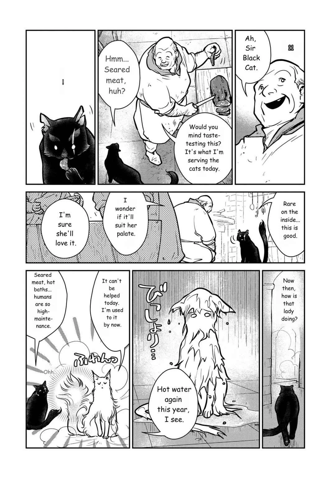Neko to Ryuu Chapter 5: The Black Cat and the Novice Adventurer - Page 11
