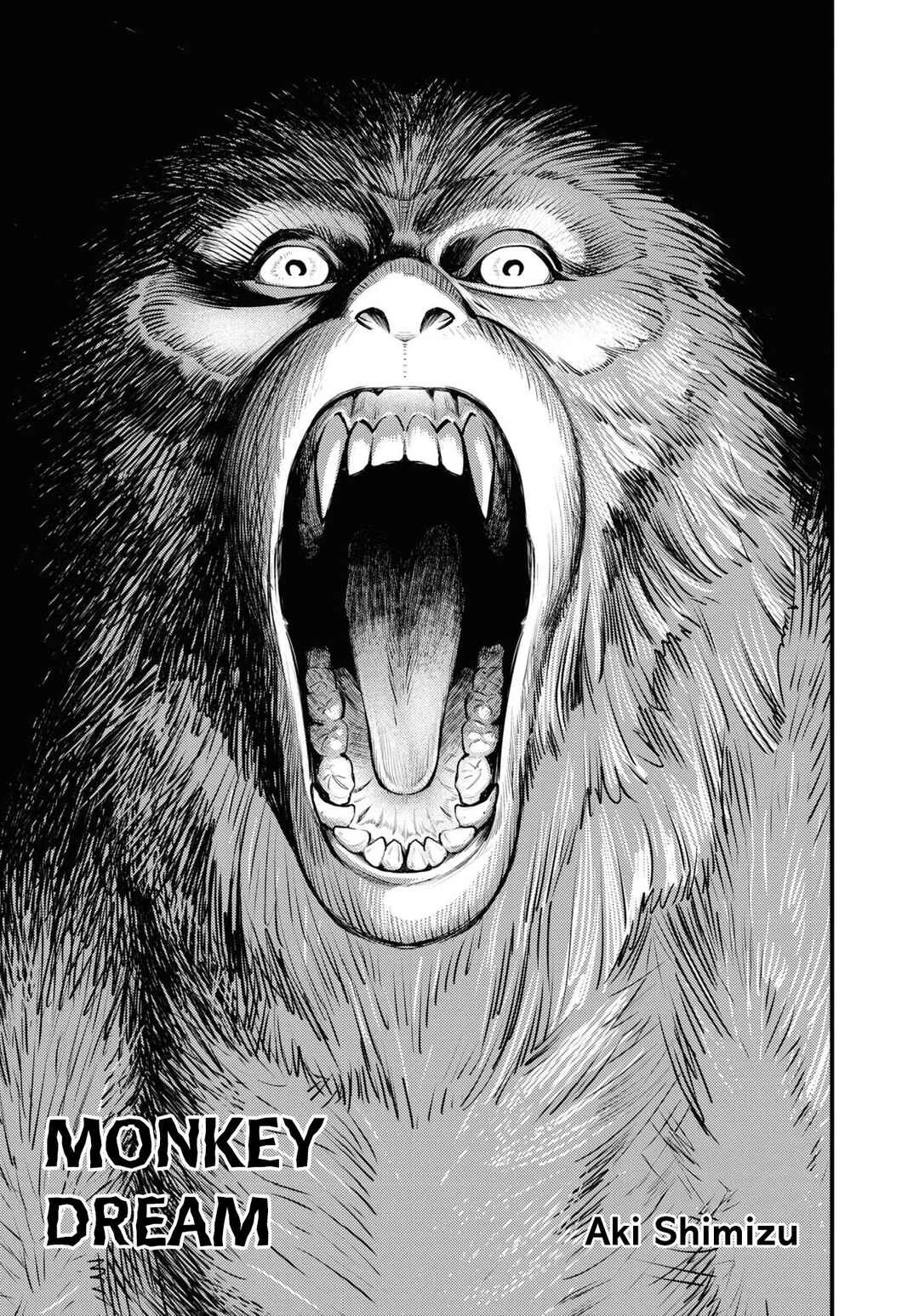 Net Keijiban Hyakumonogatari ~Toshi Densetsu Comic Kaidanshuu~ Chapter 1: Monkey Dream (Shimizu Aki) - Page 4