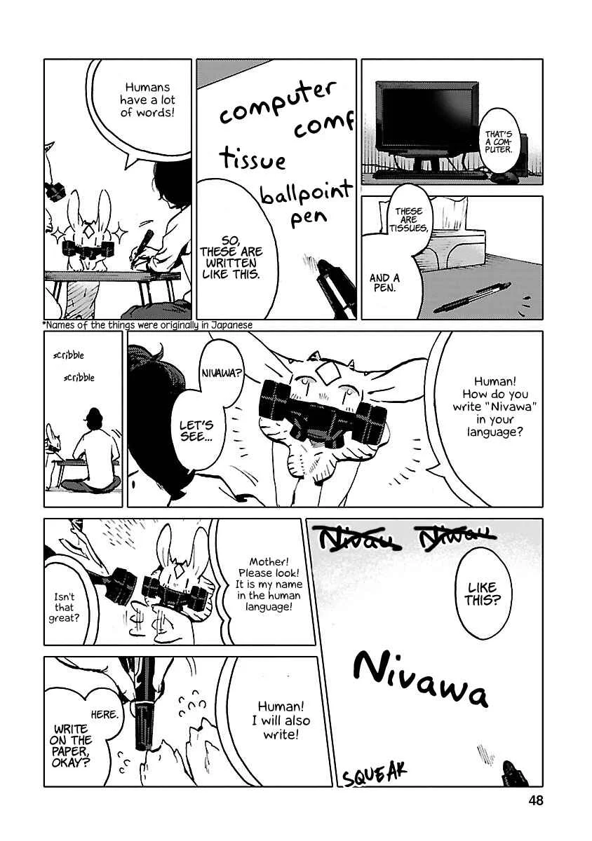 Nivawa to Saitou Chapter 3 - Page 8