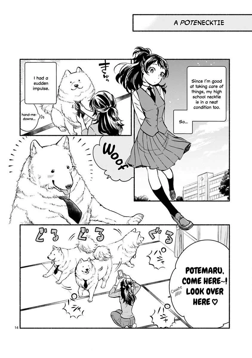 One Room Wanko Chapter 1: One Room Doggy - Page 18