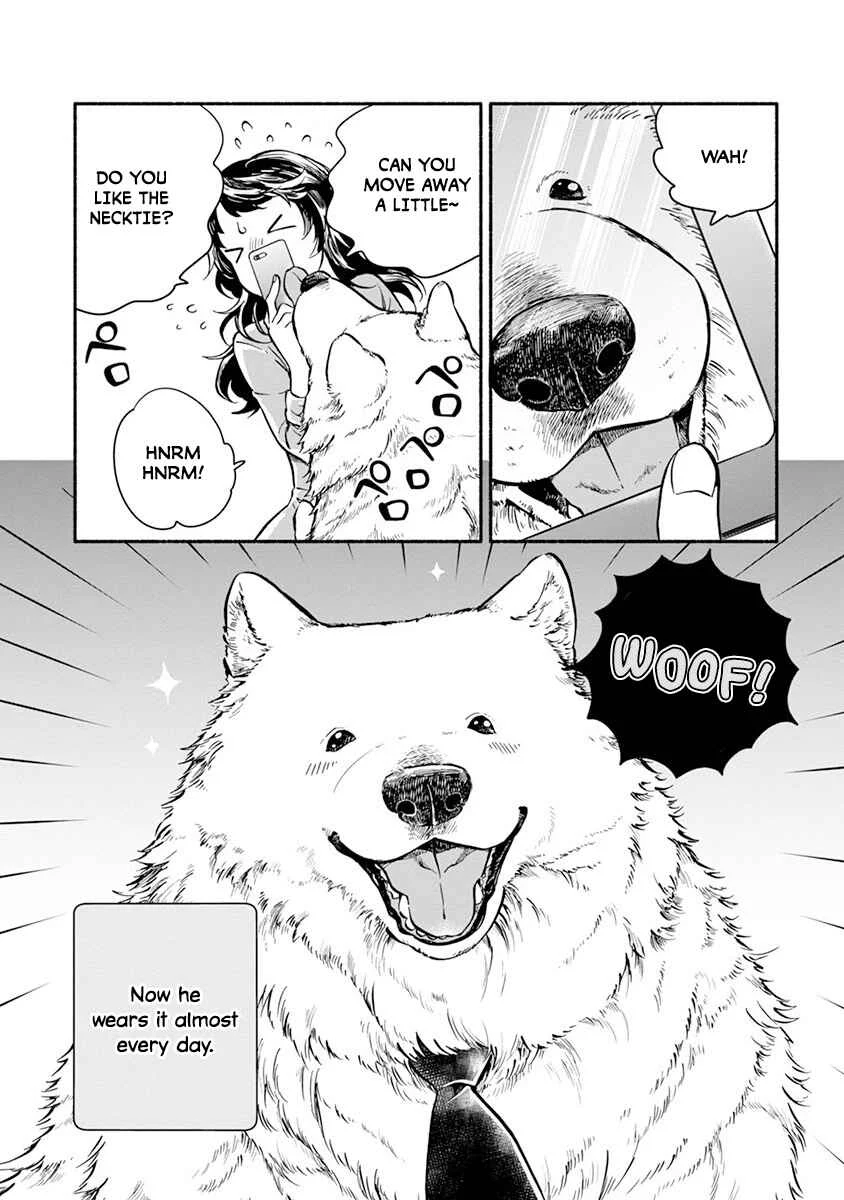 One Room Wanko Chapter 1: One Room Doggy - Page 19