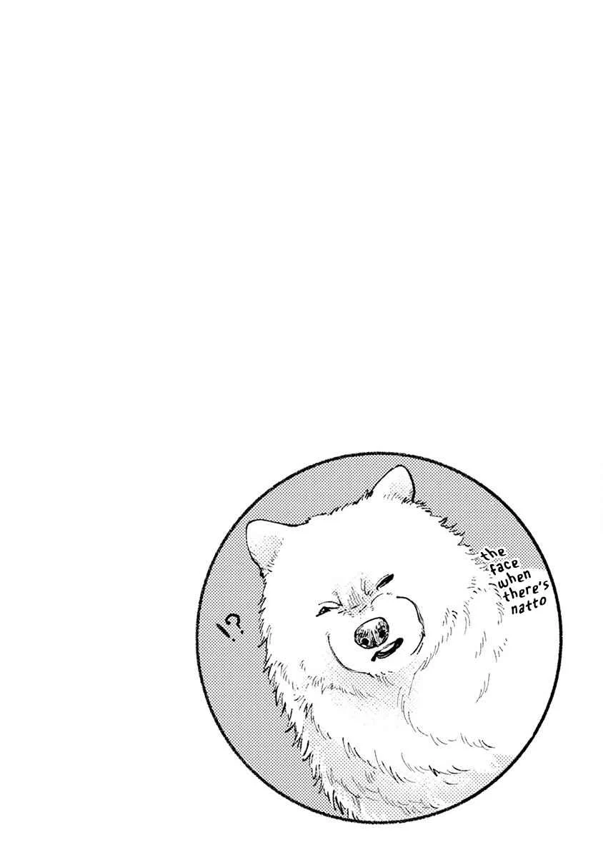 One Room Wanko Chapter 5: Doggy lunch - Page 17