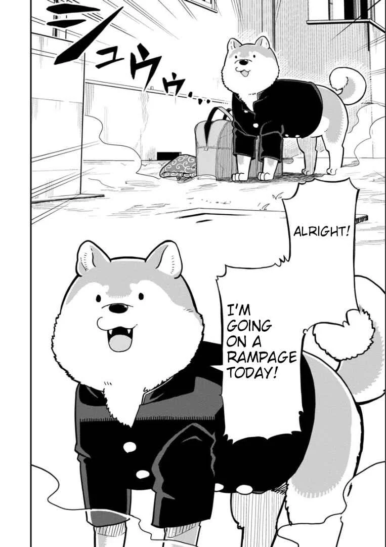 Ookami-kun wa Hayakawa-san ni Katenai Chapter 1: Chapter 1 - Page 5