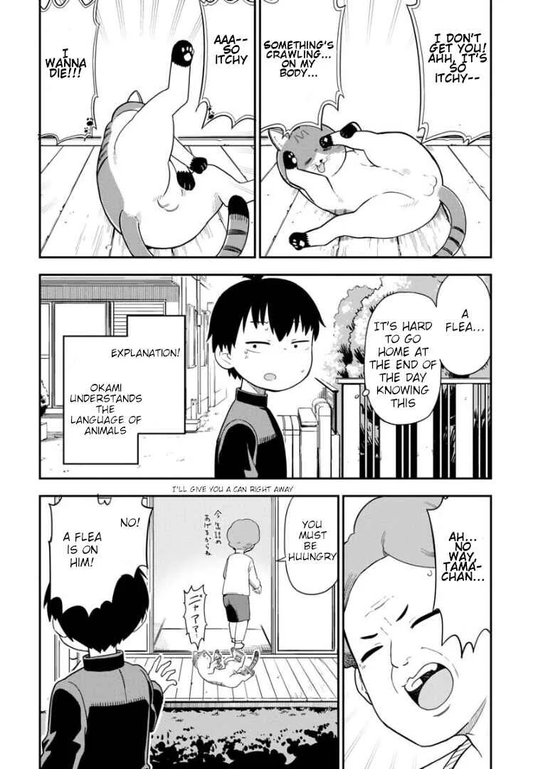 Ookami-kun wa Hayakawa-san ni Katenai Chapter 3: I'll show her the fear of the werewolf... - Page 3