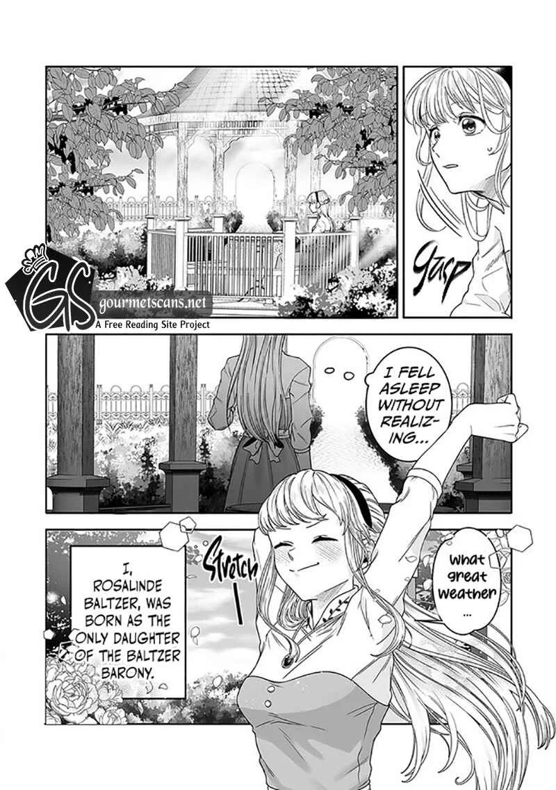 Royal Cinderella Mama: Tengai Kodoku no Botsuraku Reijou wa Reitetsu Koutei ni Dekiaisareru Chapter 1 - Page 5