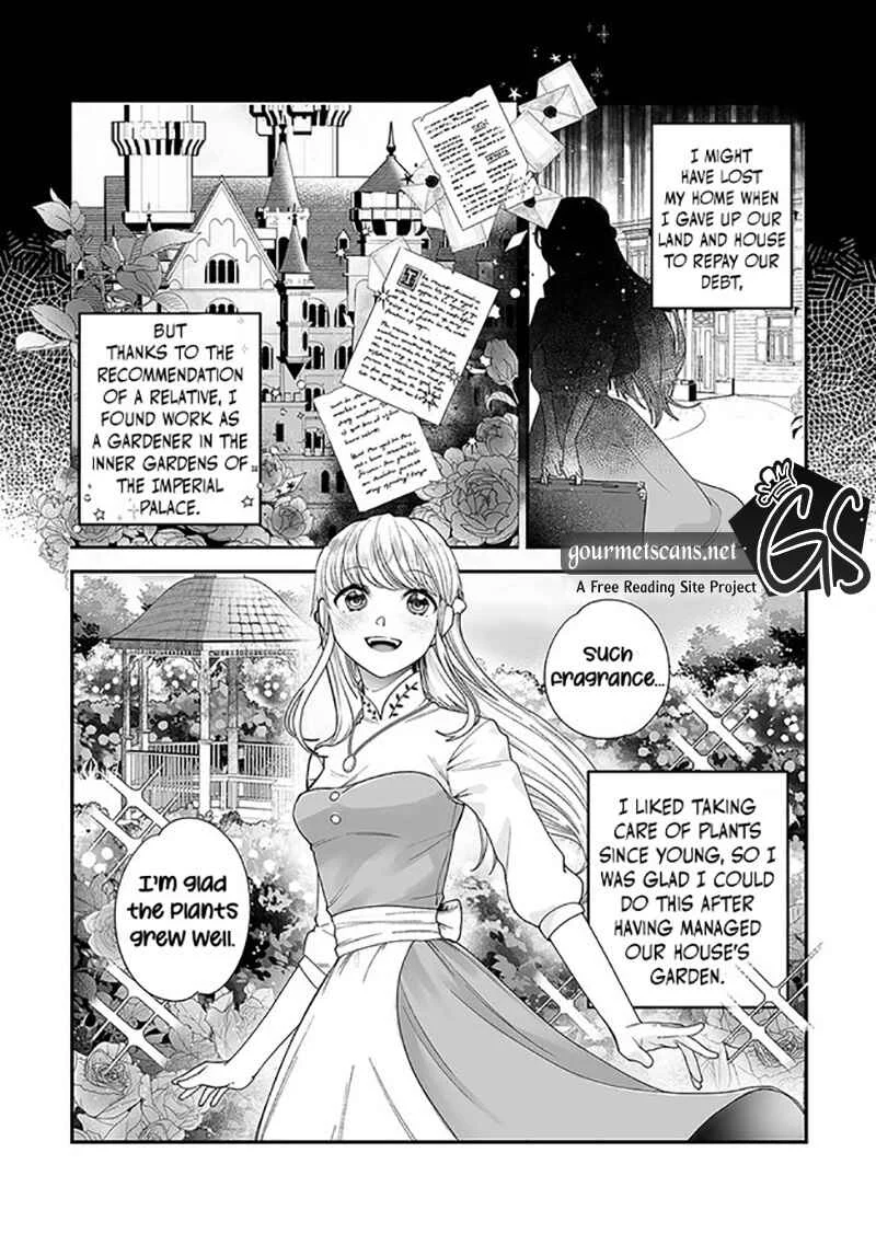 Royal Cinderella Mama: Tengai Kodoku no Botsuraku Reijou wa Reitetsu Koutei ni Dekiaisareru Chapter 1 - Page 7