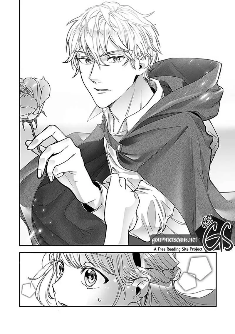Royal Cinderella Mama: Tengai Kodoku no Botsuraku Reijou wa Reitetsu Koutei ni Dekiaisareru Chapter 1 - Page 11