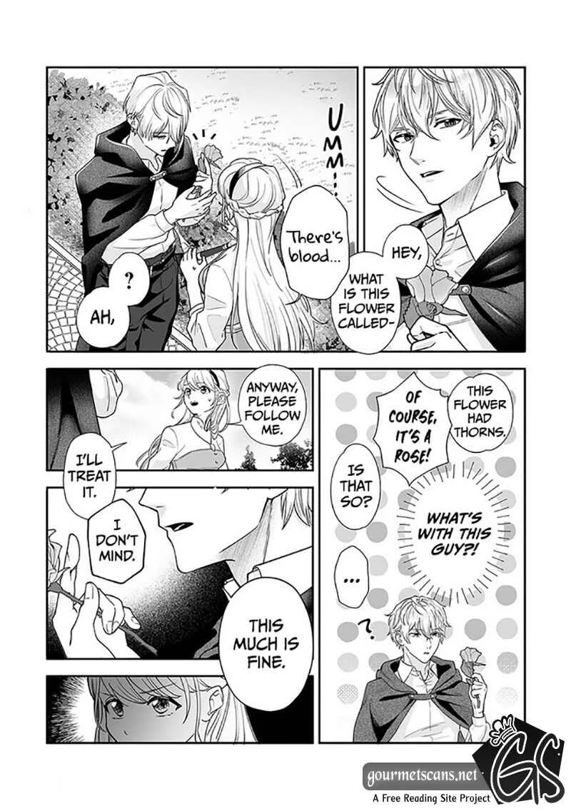 Royal Cinderella Mama: Tengai Kodoku no Botsuraku Reijou wa Reitetsu Koutei ni Dekiaisareru Chapter 1 - Page 13