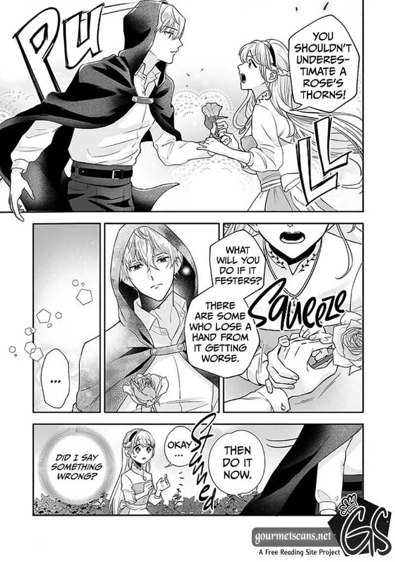 Royal Cinderella Mama: Tengai Kodoku no Botsuraku Reijou wa Reitetsu Koutei ni Dekiaisareru Chapter 1 - Page 14