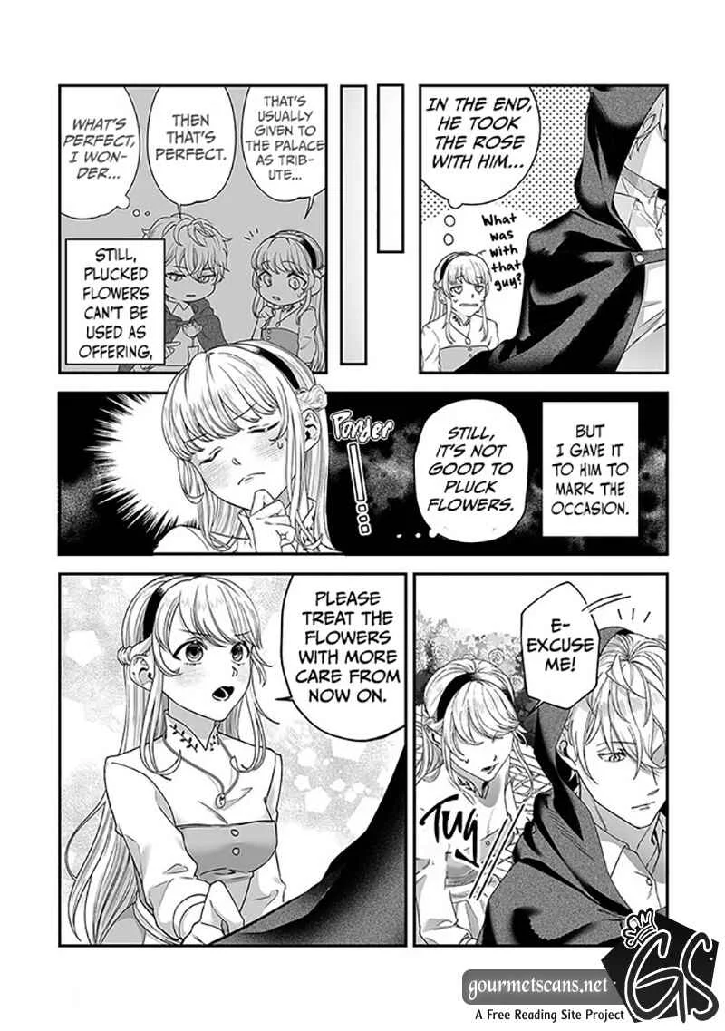 Royal Cinderella Mama: Tengai Kodoku no Botsuraku Reijou wa Reitetsu Koutei ni Dekiaisareru Chapter 1 - Page 23