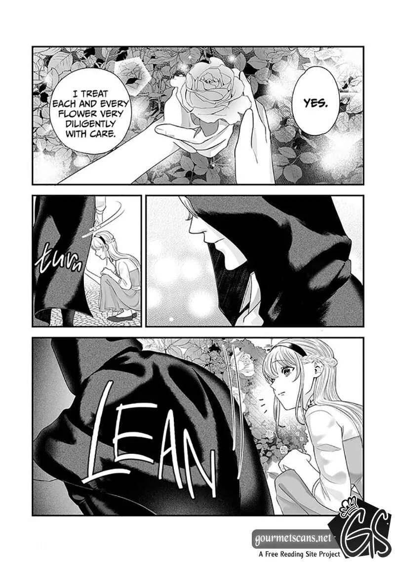 Royal Cinderella Mama: Tengai Kodoku no Botsuraku Reijou wa Reitetsu Koutei ni Dekiaisareru Chapter 1 - Page 26