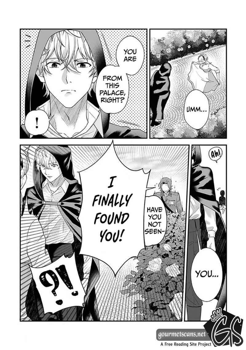 Royal Cinderella Mama: Tengai Kodoku no Botsuraku Reijou wa Reitetsu Koutei ni Dekiaisareru Chapter 1 - Page 29