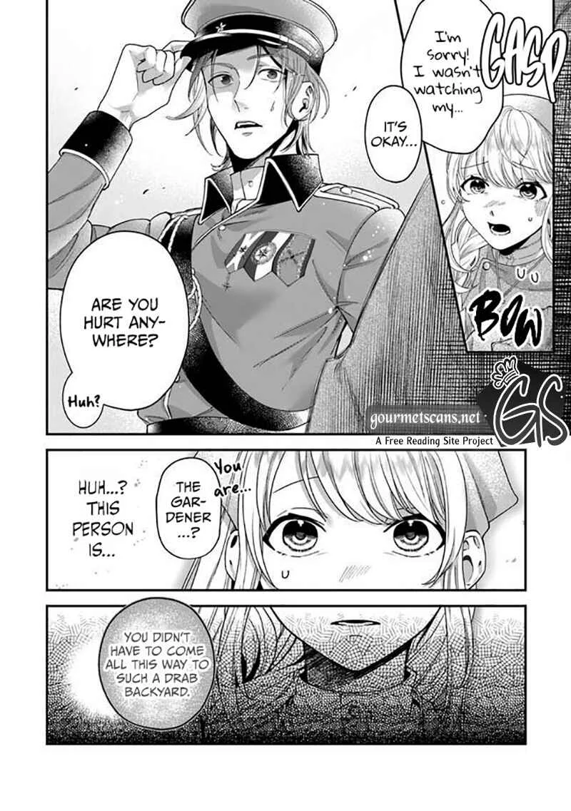 Royal Cinderella Mama: Tengai Kodoku no Botsuraku Reijou wa Reitetsu Koutei ni Dekiaisareru Chapter 2 - Page 5