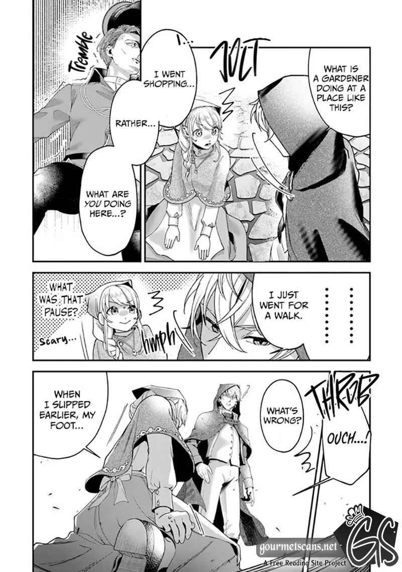 Royal Cinderella Mama: Tengai Kodoku no Botsuraku Reijou wa Reitetsu Koutei ni Dekiaisareru Chapter 2 - Page 24