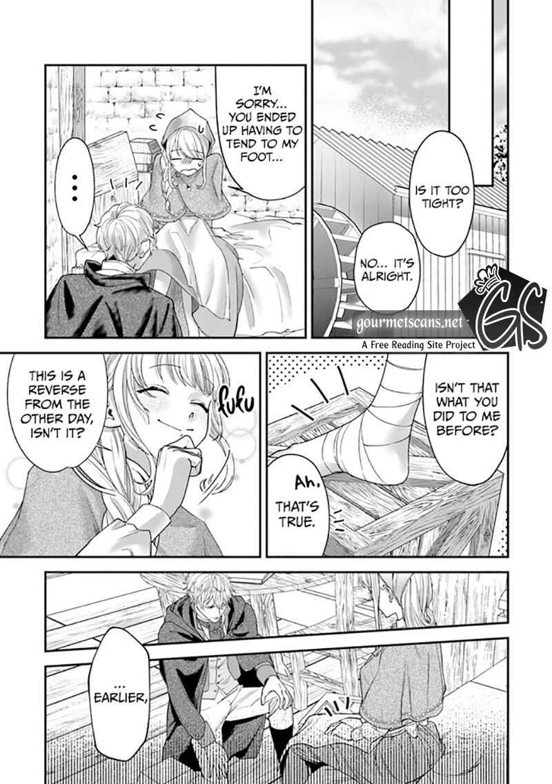 Royal Cinderella Mama: Tengai Kodoku no Botsuraku Reijou wa Reitetsu Koutei ni Dekiaisareru Chapter 2 - Page 28