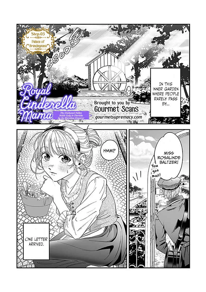 Royal Cinderella Mama: Tengai Kodoku no Botsuraku Reijou wa Reitetsu Koutei ni Dekiaisareru Chapter 3 - Page 2