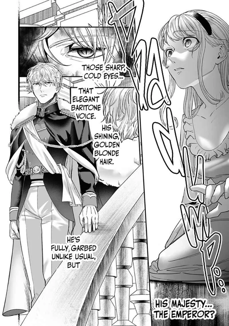 Royal Cinderella Mama: Tengai Kodoku no Botsuraku Reijou wa Reitetsu Koutei ni Dekiaisareru Chapter 4 - Page 26
