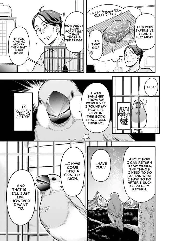 Sasaki to Pii-chan - Isekai de Slow Life wo Tanoshimou to Shitara, Gendai de Inou Battle ni Makikomareta Ken ~Mahou Shoujo ga Up wo Hajimeta you desu~ Chapter 1.1 - Page 9