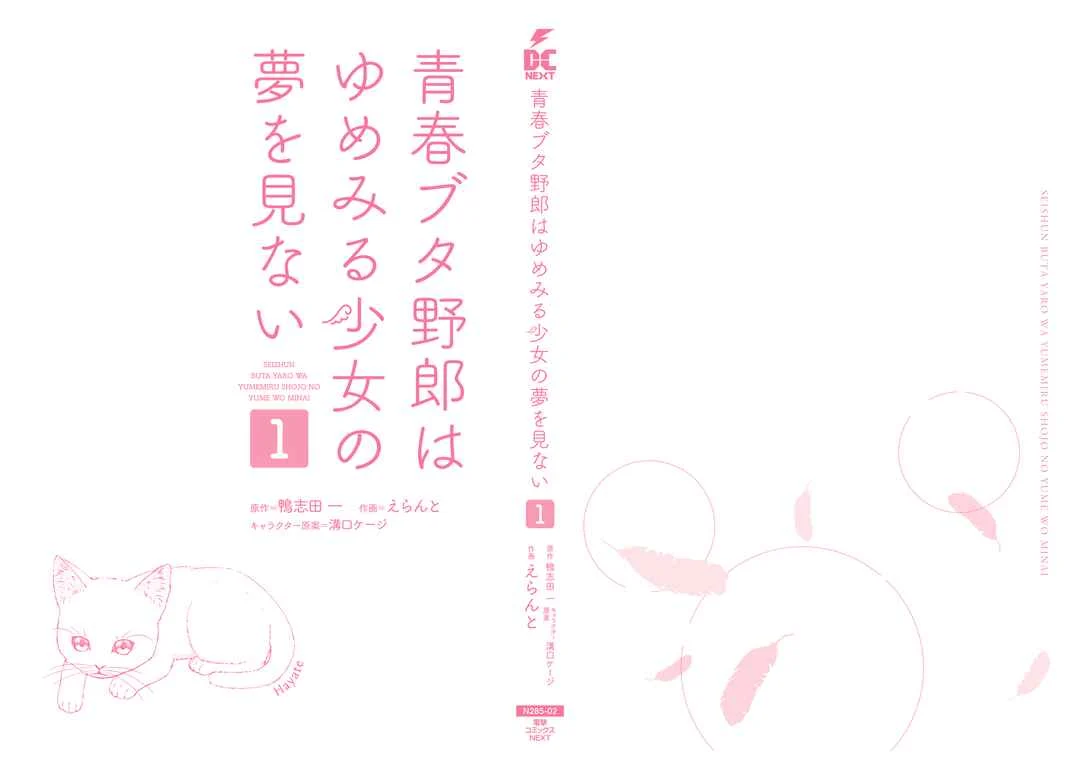 Seishun Buta Yarou wa Yumemiru Shoujo no Yume wo Minai Chapter 4.5 - Page 11