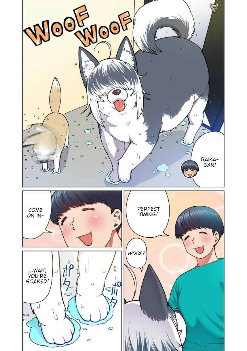 Shin Elf-san wa Yaserarenai. (Official Colored) Chapter 4: The Dog at the Door - Page 5