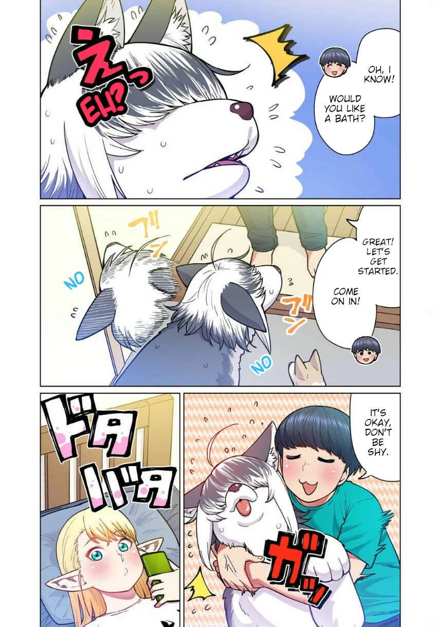 Shin Elf-san wa Yaserarenai. (Official Colored) Chapter 4: The Dog at the Door - Page 6